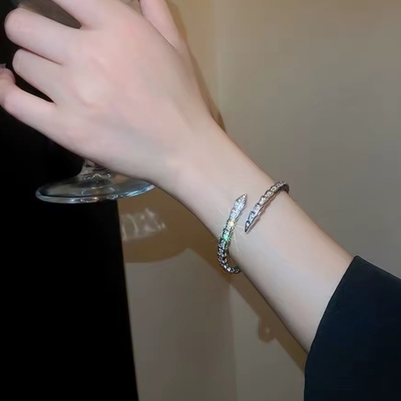 Silver Snake Bracelet - Picture 4 of 6